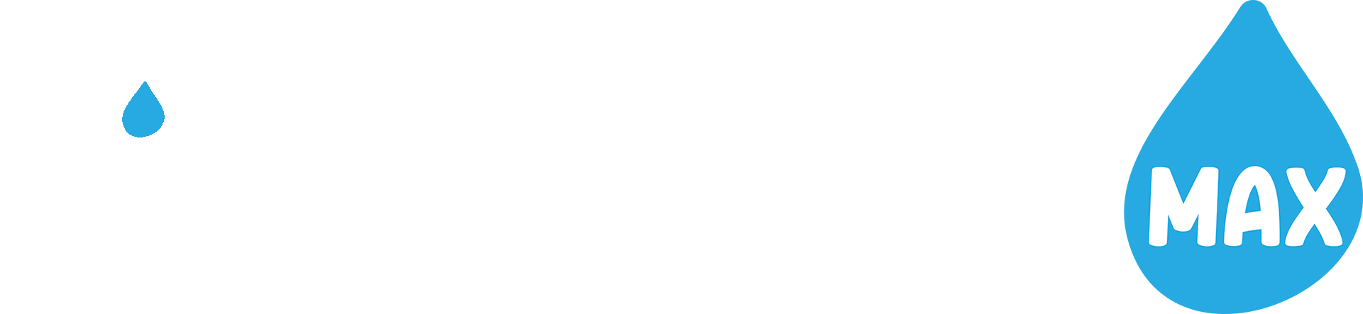 LaundryMax logo